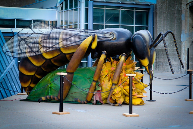 Monster Bugs at Union Station.  Photos by Michael Alvarado